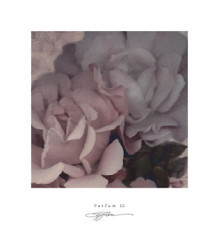 Parfum III by S G Rose