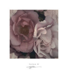 Parfum IV by S G Rose