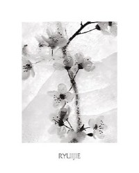 Cherry Blossoms in Winter by Ryuijie