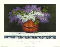 Lilacs of Nantucket