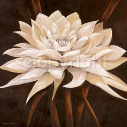 Charming by Rian Withaar