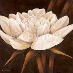 Delightful by Rian Withaar