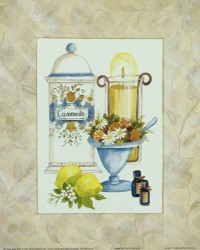 Comfort by Barbara Wilson