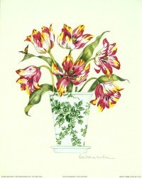Tulip Elegance I by Barbara Wilson