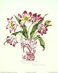 Tulip Elegance IV by Barbara Wilson