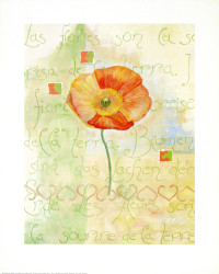 Poppies by Sanderini