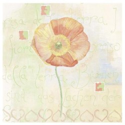 Poppies by Sanderini