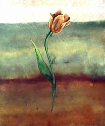 Tulip Abstract I by Sangita