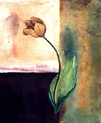 Tulip Abstract II by Sangita