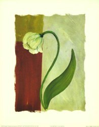 Tulip Abstract IV by Sangita