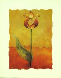 Tulip Abstract VI by Sangita