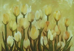Tulips by Sibraa