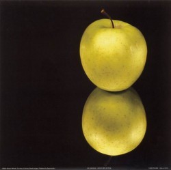 Apple Reflection by Steven Mitchell