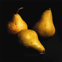 3 Pears by Steven Mitchell