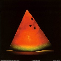 Summer Dreams by Steven Mitchell