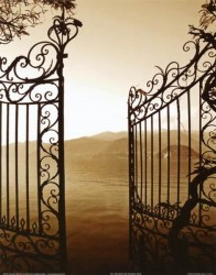 The Opened Gate by Steven Mitchell