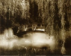 Water Under the Bridge by Steven Mitchell