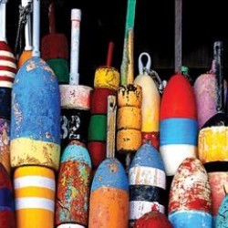 Bouys by Steven Mitchell