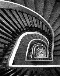 Up the Down Staircase by Steven Mitchell