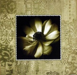 Kindness of the Heart