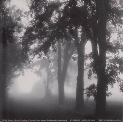 Misty Pathway by Steven Mitchell