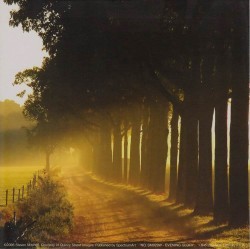 Evening Glory by Steven Mitchell