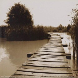 Bridging the Gap by Steven Mitchell