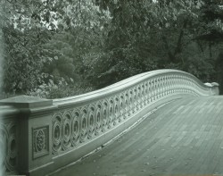 Central Park Bridge by Steven Mitchell