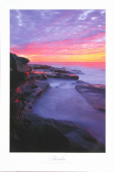 Awaken by John Shephard