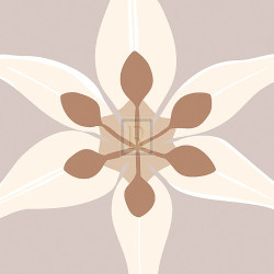 Taupe Lily I by Emily Burrowes