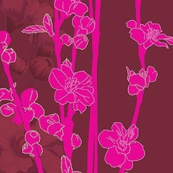 Plum Blossom by Kate Knight