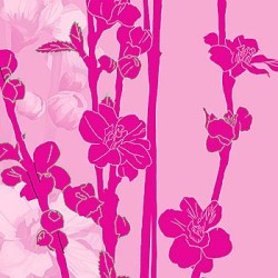 Plum Blossom II by Kate Knight