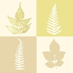 Tundra II by Julie Lavender