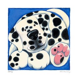 Spotty by Kate Mawdsley