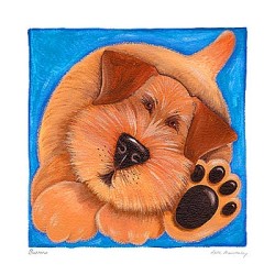 Buttons by Kate Mawdsley