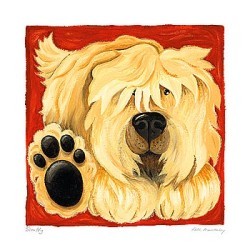 Scruffy by Kate Mawdsley