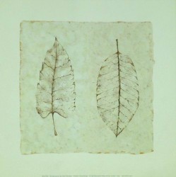 Turning Leaves I by Kate Mawdsley