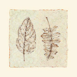 Turning Leaves II by Kate Mawdsley