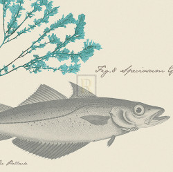 Sea & Shore I by Maria Mendez