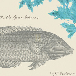 Sea & Shore IV by Maria Mendez