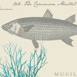 Sea & Shore V by Maria Mendez