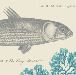 Sea & Shore VI by Maria Mendez