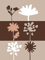 Shadows III by Julie Lavender