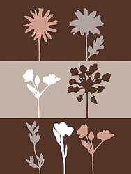 Shadows IV by Julie Lavender