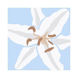 Lily Blue by Emily Burrowes