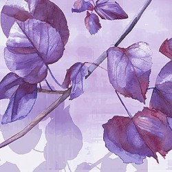 Light & Shade I by Kate Knight