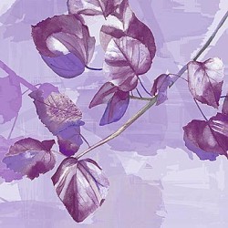 Light & Shade II by Kate Knight