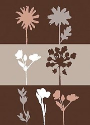 Shadows IV by Julie Lavender