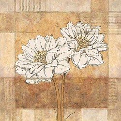 Bianco I by Linda Wood