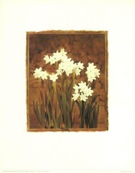 Paper Whites by Carlos Sanchez